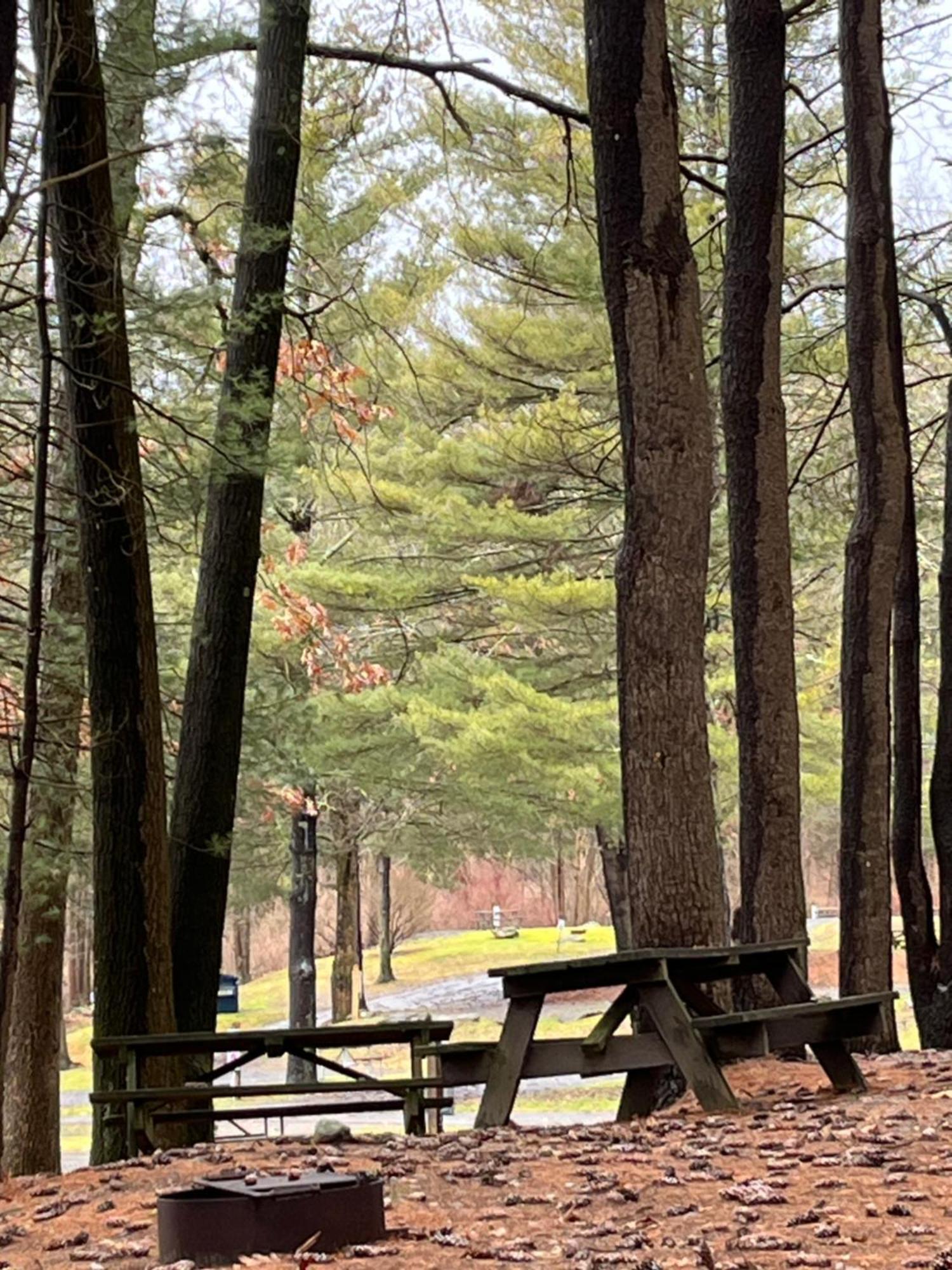 Interlake Rv Park & Campground Rhinebeck Exterior foto